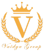 v-logo1.png